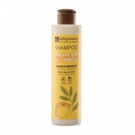 Balancing Shampoo